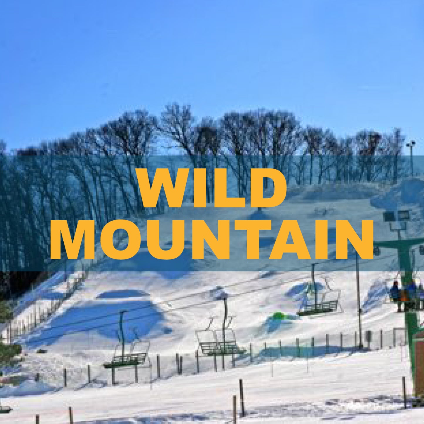 Wild Mountain - March 15, 2026